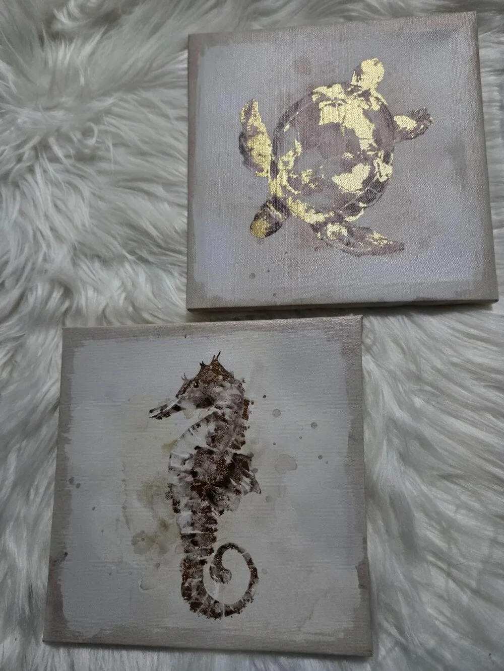 Turtle & Seahorse Wall Art Set